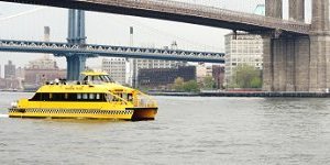 New York City Tours