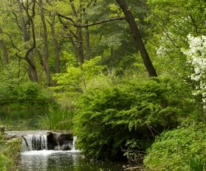Prospect Park New York